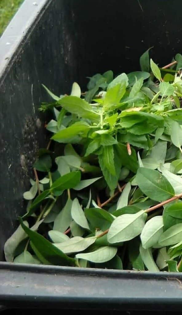 recycling, recycling trends, recycling in London, waste management, scrap metal recycling, scrap metal collectors, green waste recycling, electronic waste (e-waste), reduce plastic / reducing plastic, recyclable materials, new recycling technologies, sustainable solutions , waste, London, Premier Scrap Trading Ltd,
