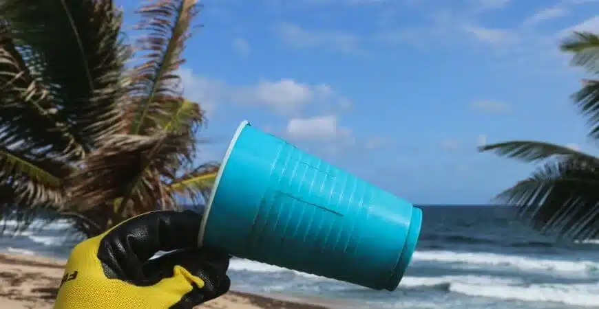 why can’t you recycle paper coffee cups, paper coffee cups, plastic-lined cups, compostable cups,
